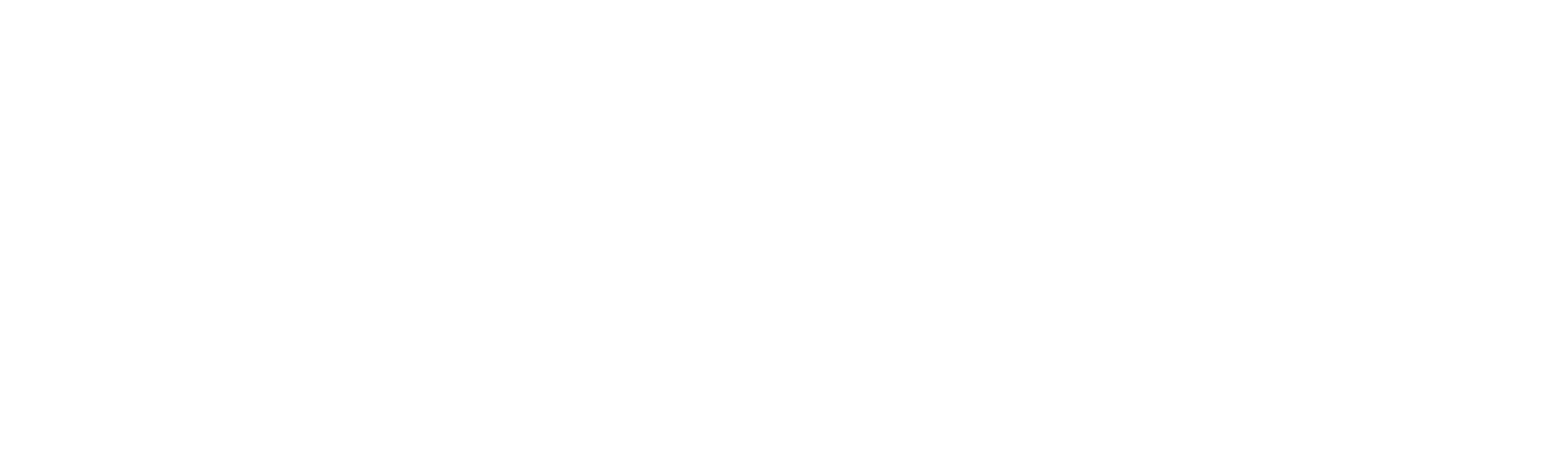 DevPeer Logo